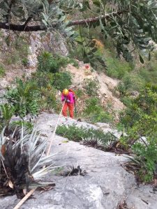 Muy difícil el acceso a la Cueva de Rancho Quemado, localizada a mas de 150 metros de altura del nivel del Arroyo La Orduña, que conduce a Rancho Quemado. (Foto: Gilberto Ledesma)