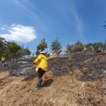 Habilita SEDEA 6 brigadas contra incendios