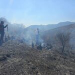 Controlan incendio en Tolimán