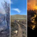 Incendios registrados en la Sierra habrían sido provocados