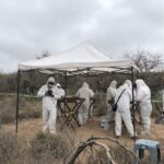 FGE de SLP envia 200 muestras òseas a Alemania para anàlisis de ADN