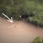 Ignoran ciudadanos advertencia: se meten a nadar al Río Extoraz