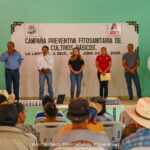 Arranca campaña preventiva fitosanitaria de cultivos en Arroyo Seco