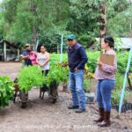 Trabaja Arroyo Seco en intensa campaña de reforestación.