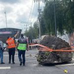 Fatal accidente en el Tepeyac 