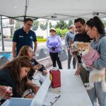 IMPA refuerza acciones de bienestar animal con campañas gratuitas y rescates en todo El Marqués