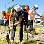 Siembra municipio mil árboles para “Reverdecer Querétaro”