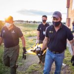 Reportan hasta 40 ataques de perros y gatos mensualmente