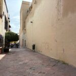 Andador Matamoros, sin grafiti, produce una mejor percepción de seguridad: Daniela Salgado