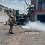 Confirma SESA primera muerte por dengue en Querétaro