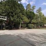 Parque Los Alcanfores podría ser declarado área natural protegida en dos meses