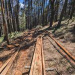 Asegura Profepa más de 22 m³ de madera por tala ilegal en el Cerro del Zamorano, Querétaro