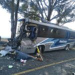 Nueve personas fallecidas y tres mas lesionadas de gravedad, saldo de choque de camión de pasajeros contra un árbol.