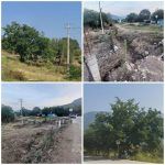 Vecinos denuncian derribo de árboles en la entrada de El Rayo