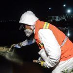 Refuerza Municipio de Querétaro acciones contra mosquitos en Querétaro 2000 y zonas aledañas