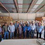 Impulsan acciones preventivas contra el Gusano Barrenador en Tancoyol