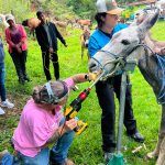 Realizan Jornada de Salud Equina en Derramadero de Juárez
