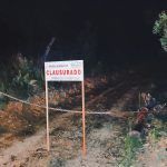 Clausura Profepa campamento “ecoturístico” tras detectar tala de bosque en Cadereyta