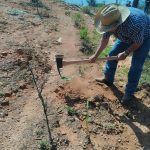 Pinal de Amoles participa en Jornada Nacional de Reforestación en el Ejido Derramadero