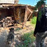 Atiende IMPA reporte por posible maltrato animal en la comunidad de La Providencia
