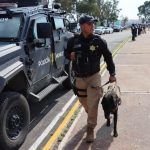 Disminuyen delitos contra la integridad 17% en Querétaro: SESNSP