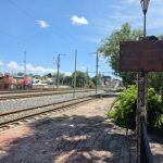 Hasta que no se garantice que no habrá tala de árboles, no iniciarán las obras del Tren: Felifer Macías 