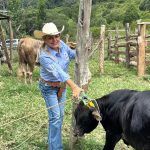 Apoya Lupita Ramírez a productores ganaderos con aretado gratuito en San Pedro Escanela