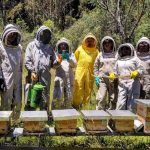 IMPA El Marqués intercambia experiencias en Colombia para mejorar la protección de abejas
