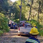 Lluvias provocan daños en cableado eléctrico en la zona de Los Pinos