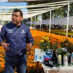 Querétaro plantará 35 mil flores de cempasúchil por el Día de Muertos